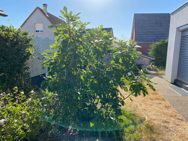 Photo du bien